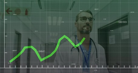 Wall Mural - Animation of financial data processing over two caucasian doctor