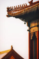 Wall Mural - the forbidden city in beijing, china