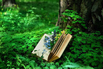 old book and wild flowers in forest, blurred natural green background. romantic inspiration image. Relaxation, Reading, knowledge concept. botany, study of wild herbs and flowers. spring summer season
