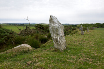 Wall Mural - Nine Maidens stone row Cornwall all the stones are of quartz the north-eastern stone is prostrate and broken it measures 15 feet in length the tallest of those still standing is 6 feet 7 inches high 