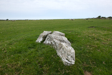 Wall Mural - Nine Maidens stone row Cornwall all the stones are of quartz the north-eastern stone is prostrate and broken it measures 15 feet in length the tallest of those still standing is 6 feet 7 inches high 