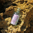 © joserpizarro - Auf den Felsen des Meeres gefundene Flasche mit einem 500-Euro-Schein darin. 500 Euro. Geldwäsche. Bild zur Veranschaulichung des Devisenhandels.