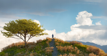 Wall Mural - magical fantasy scene with man on top of hill and mountain landscape in background. 3d rendering. dr