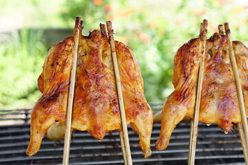 Poster - Grilled chicken on a golden casserole