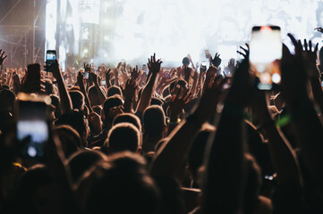 Canvas Print - Concert crowd on a music concert