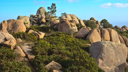 Wall Mural - rocks in the mountains in Sintra, Portugal