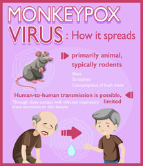 Wall Mural - Monkeypox virus symptoms infographic