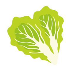 Wall Mural - Heart shaped lettuce leaves semi flat color vector object. Fresh vegetable. Organic product. Full sized item on white. Simple cartoon style illustration for web graphic design and animation