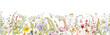 Wild flowers watercolor frame botanical hand drawn illustration