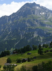 Canvas Print - Grindelwald