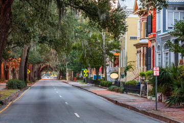 Wall Mural - Savannah, Georgia, USA streets around Forsyth Park.