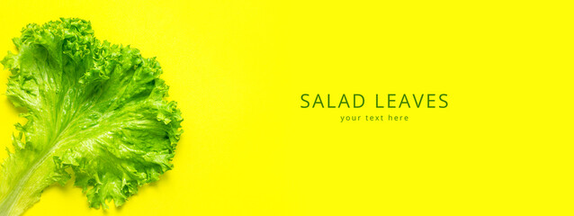 Food concept. Fresh green lettuce leaves on bright yellow background flat lay top view. Creative background with salad, healthy vegetarian food, eco products, vegetable, diet, vitamins