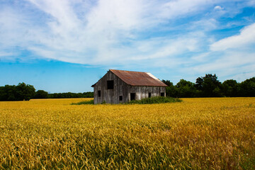 landscape with barn