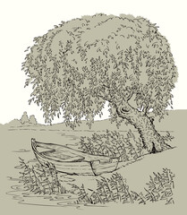 Poster - Vector drawing. Old boat on the lake under the branches of a willow