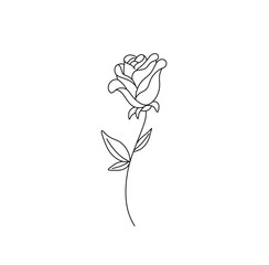 Wall Mural - Vector isolated single pretty rose on a stem colorless black and white contour line drawing