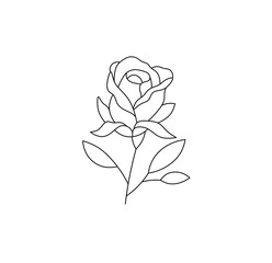 Wall Mural - Vector isolated single pretty rose on a short stem colorless black and white contour line drawing