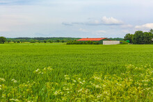 North German Agricultural Field Forest Trees Nature Landscape Panorama Germany.