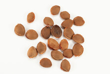 Pile Of Apricot Kernel Isolated On Bright Background.Top View.