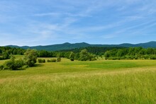 View Of The Countryside Of Bela Krajina In Dolenjska, Slovenia With Grassland And Forest Covered Hills Behind