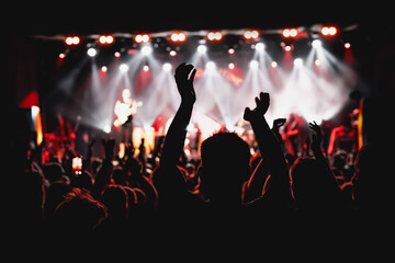 Wall Mural - Silhouette of man with raised hands on music concert