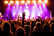 © 9parusnikov - Concert crowd attending a concert, people silhouettes with backlit by stage lights