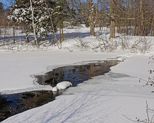 Wall Mural - Creek through the Winter forest in Mont Saint Bruno national park, Quebec