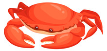 Marine Crab Icon. Underwater Animal. Cartoon Creature