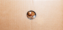 Red-white Cat Nose In A Round Hole Of Cardboard Box. Panoramic Banner View.