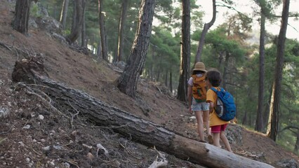 Wall Mural - A woman and her child walk along a mountain trail, A boy with a backpack travels with his mother, Hike with children, The kid walks through the forest, Active summer holidays.