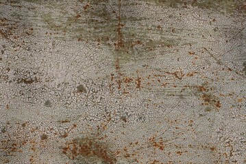 Wall Mural - gray brown metal texture from rusty old iron  shabby wall