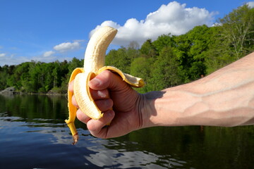 Bananas makes you strong. Banana held by hand. Lake and Swedish nature in the background. Closeup, pumped with strong grip. Stockholm, Sweden.