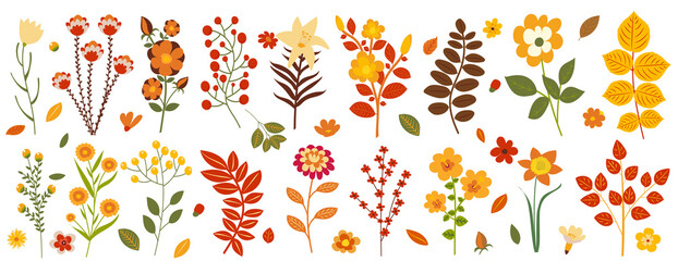 Wall Mural - set of autumn flowers and plants in flat design