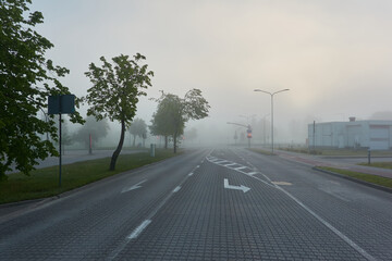 Wall Mural - A new asphalt road (highway) in a fog. Cobblestone pedestrian walkway and alley of young green trees. Street lanterns, traffic lights. Cityscape. Landscaping, dangerous driving, safety concepts