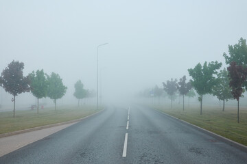 Wall Mural - A new asphalt road (highway) in a fog. Cobblestone pedestrian walkway and alley of young green trees. Street lanterns, traffic lights. Cityscape. Landscaping, dangerous driving, safety concepts