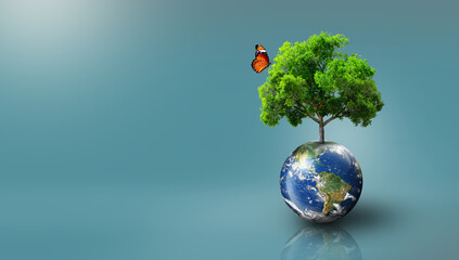 Tree growing on Earth with green grass on and butterfly. World Ecology, World Environment Day, World Earth Day, and Saving environment Concept. Image furnished by NASA.