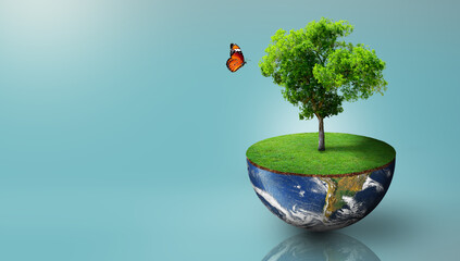 Plant growing on the half sphere of planet earth with green grass on and butterfly. World Ecology, World Environment Day, World Earth Day, and Saving environment Concept. Image furnished by NASA.