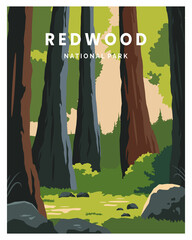 Redwoods National park in California poster illustration design. World's tallest trees.