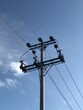 Electricity pole and power line under white cloud and blue sky