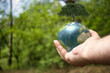 Planet - Erde - Natur  - Baum - Earth - Ecology - Lensball - Bioeconomy - High quality photo - A closeup of human hand holding earth small figure with growing tree on it