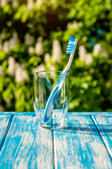 Wall Mural - Toothbrush stands in a glass on a natural background
