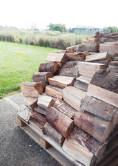 Wall Mural - logs for firewood strack, nature truck tree