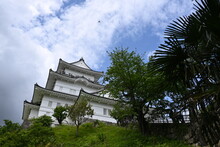 The Walls And Moats Of Odawara Castle (an Old Japanese Castle) And The Park Surrounding The Castle