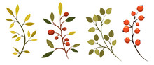 Autumn Vector Illustration Of Branches With Leaves And Berries For Decoration