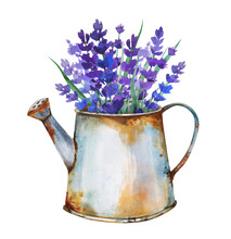 Beautiful Cottage Core Rustic Natural Watercolor Hand Drawn Lavender Herbal Bouquets Set In Old Rusty Metal Vases And Watering Cans In The Garden. Vintage Style Clip Art.