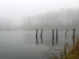 piles sticking out of lake water foggy nature landscape