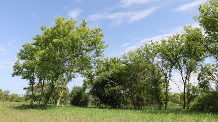 Wall Mural - Hiking at a nature preserve in Pleasant Prairie, WI