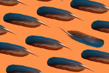 Many Bright Blue Feathers On An Orange Background Pattern