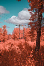 Infrared Landscape
