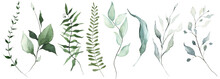 Watercolor Floral Set Of Green Leaves, Branches, Twigs Etc. Isolated Greenery Illustration. 