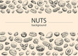 Seamless border Nuts mix Vector background. Hand drawn elements. Sketch almond, brazil nut, nutmeg, macadamia, cashew, pecan, peanut, pistachio, chestnut. Illustration for design